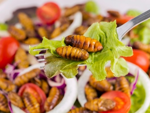 From insects to cultured meat, nothing is off the table when it comes to feeding the world’s growing population, says UNSW professor Johannes le Coutre.