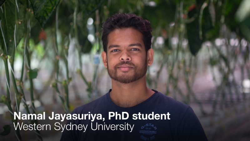 Namal Jayasuriya, PhD student