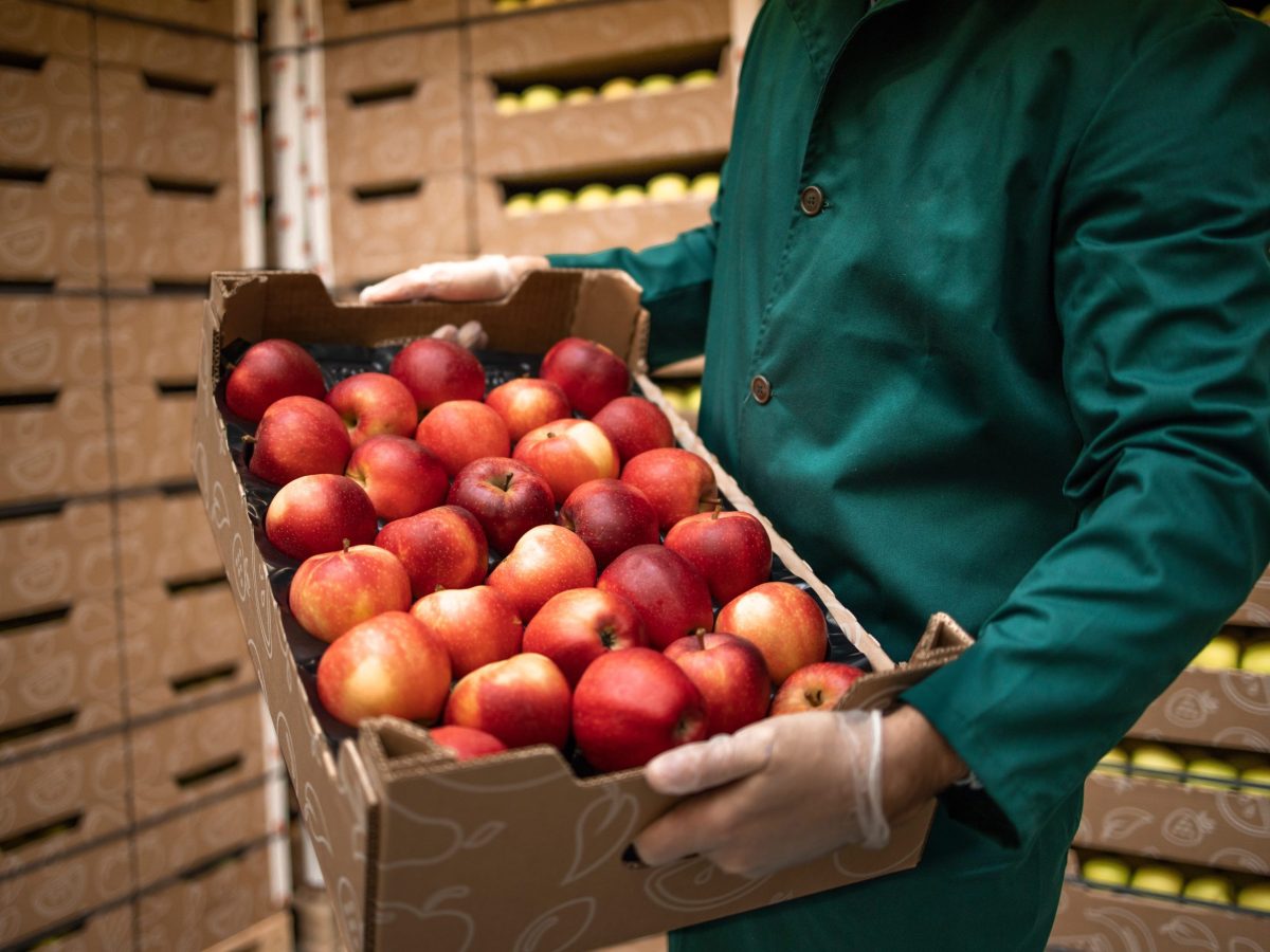 https://www.futurefoodsystems.com.au/wp-content/uploads/2023/08/Apples-for-export.-Credit-Shutterstock_1942213249_CROP-scaled-1200x900.jpg