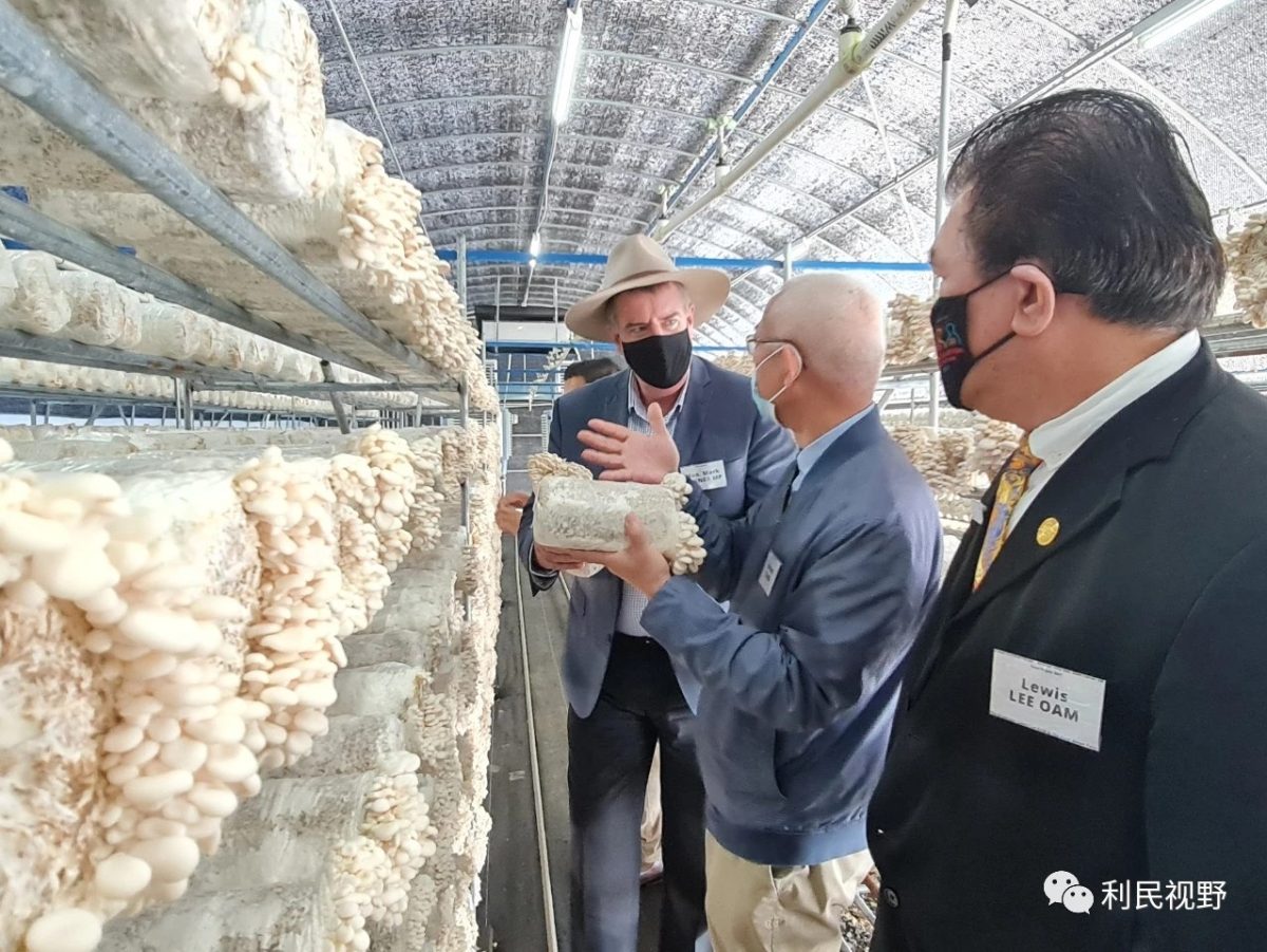 https://www.futurefoodsystems.com.au/wp-content/uploads/2023/09/Queensland-Minister-for-Agriculture-Mark-Furner-visits-Kenon-mushroom-farm.-Credit-Kenon-1200x901.jpg
