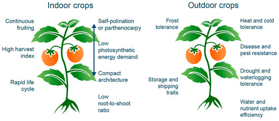 Current Technologies and Target Crops in Protected Cropping
