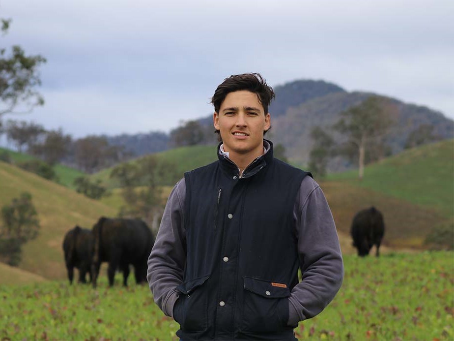 UNE's Angus Dingley is exploring how temperature extremes affect pollination in polytunnels to help growers produce more and better berries.