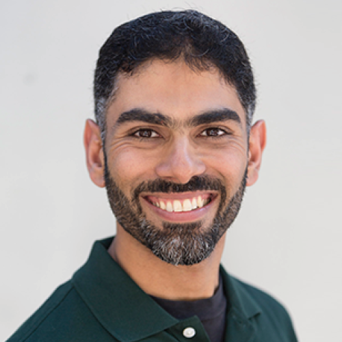 Prof. Taha H Rashidi