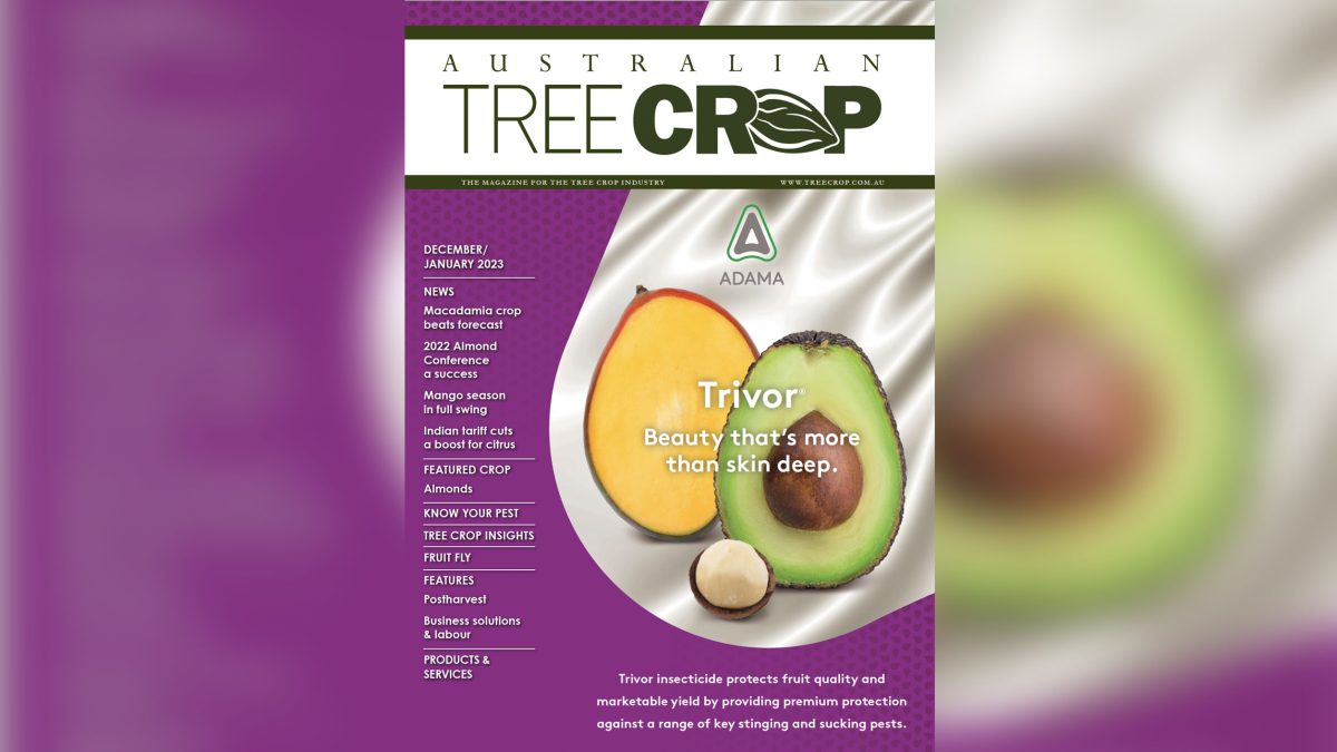 Microscopic organisms to increase crop yields