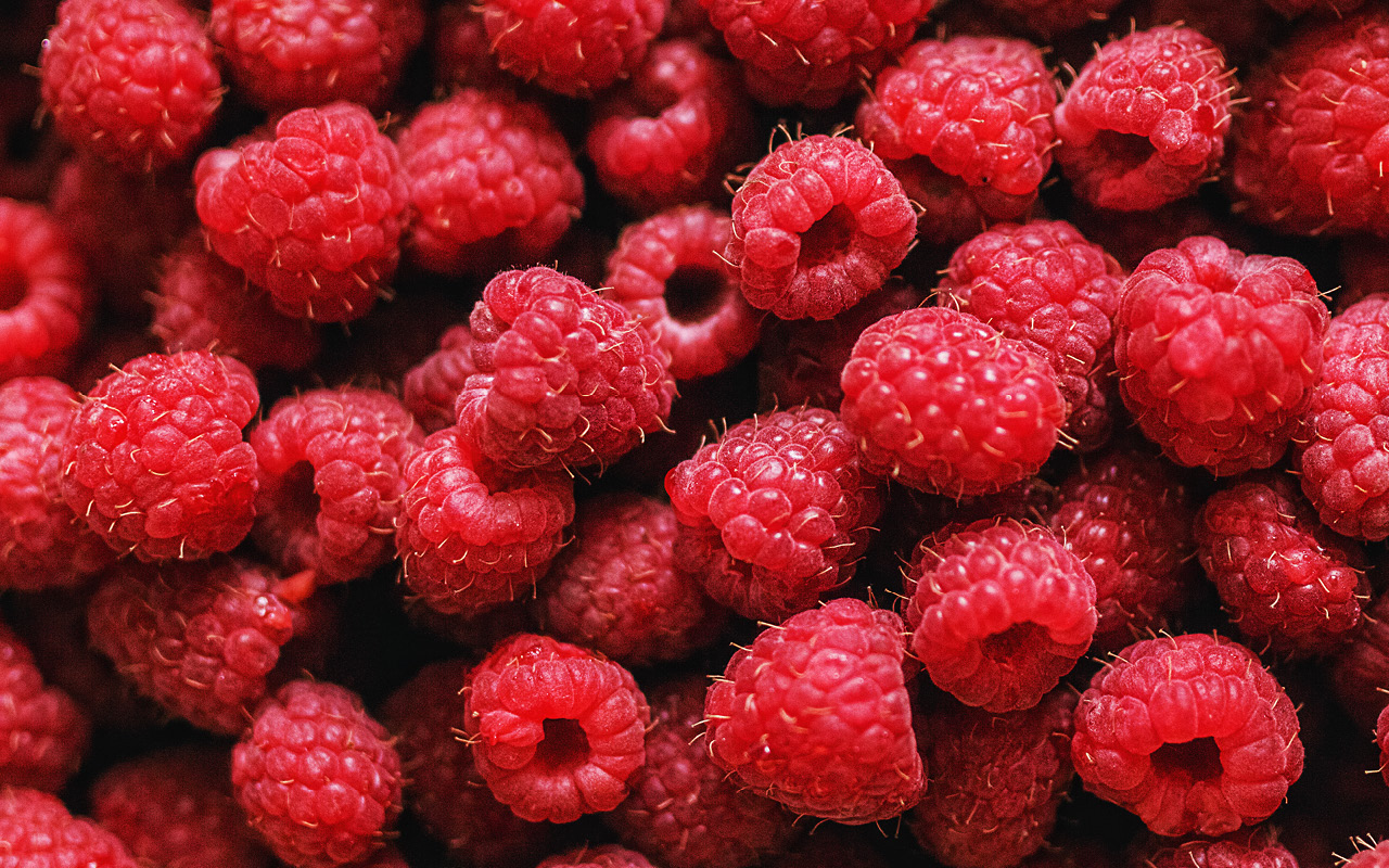 Understanding the influence of critical temperature thresholds and duration of exposure on raspberry pollination and fruit quality