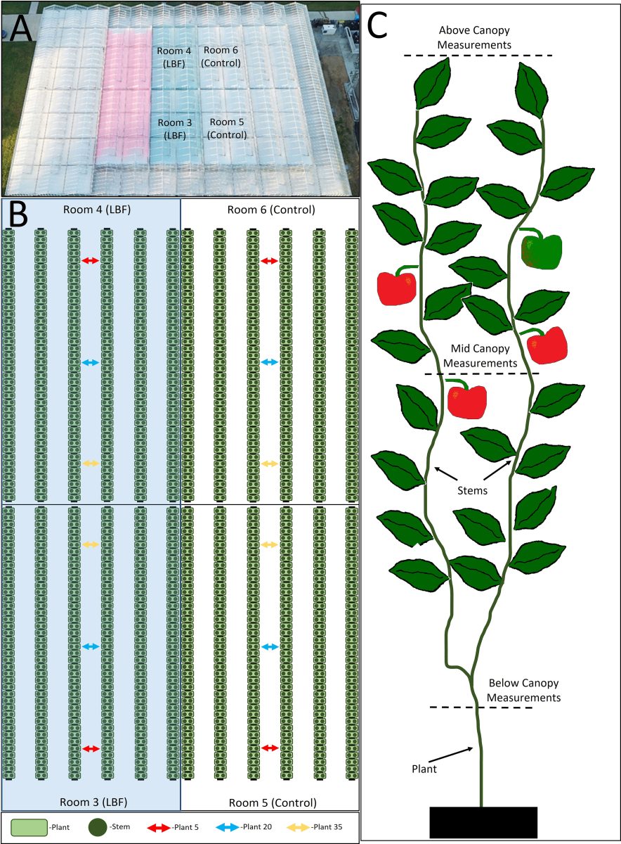 Light blocking film in a glasshouse impacts Capsicum annuum L. yield differentially across planting season