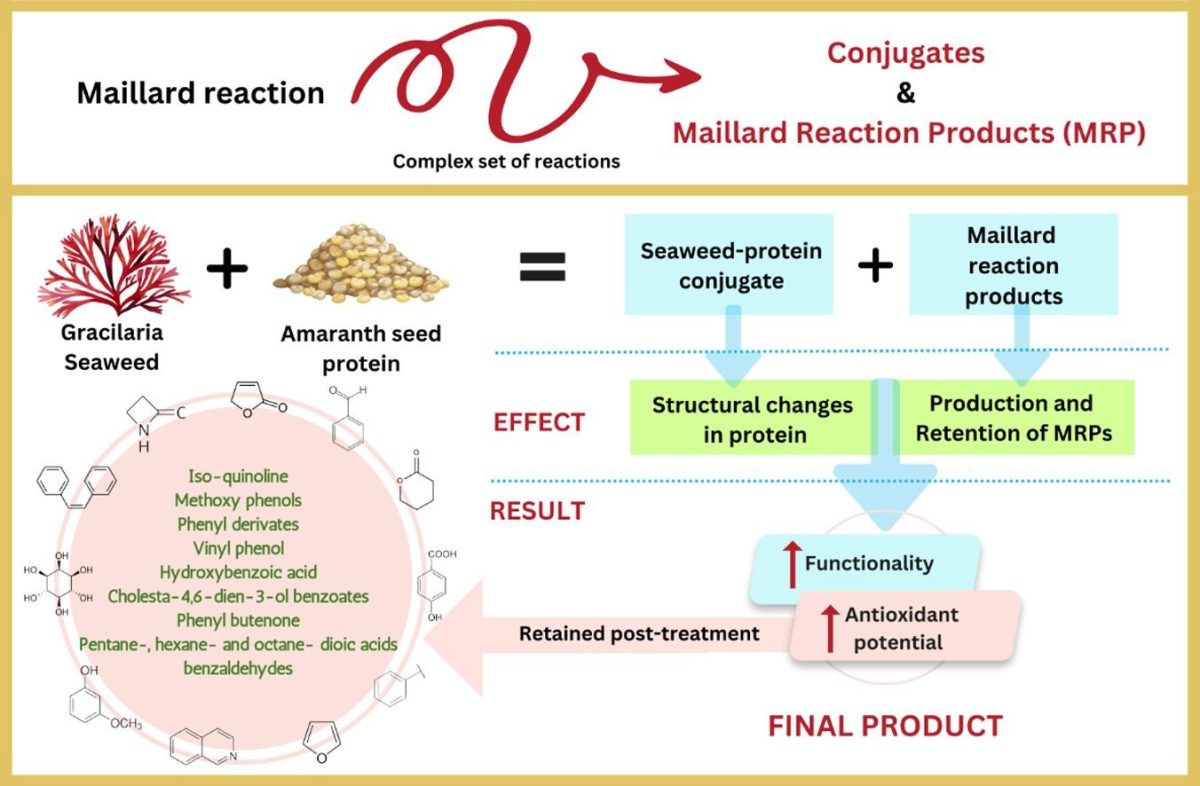 Assessing the effect of Maillard reaction products on the functionality and antioxidant properties of Amaranth-red seaweed blends