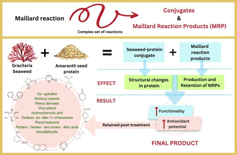 Assessing the effect of Maillard reaction products on the functionality and antioxidant properties of Amaranth-red seaweed blends