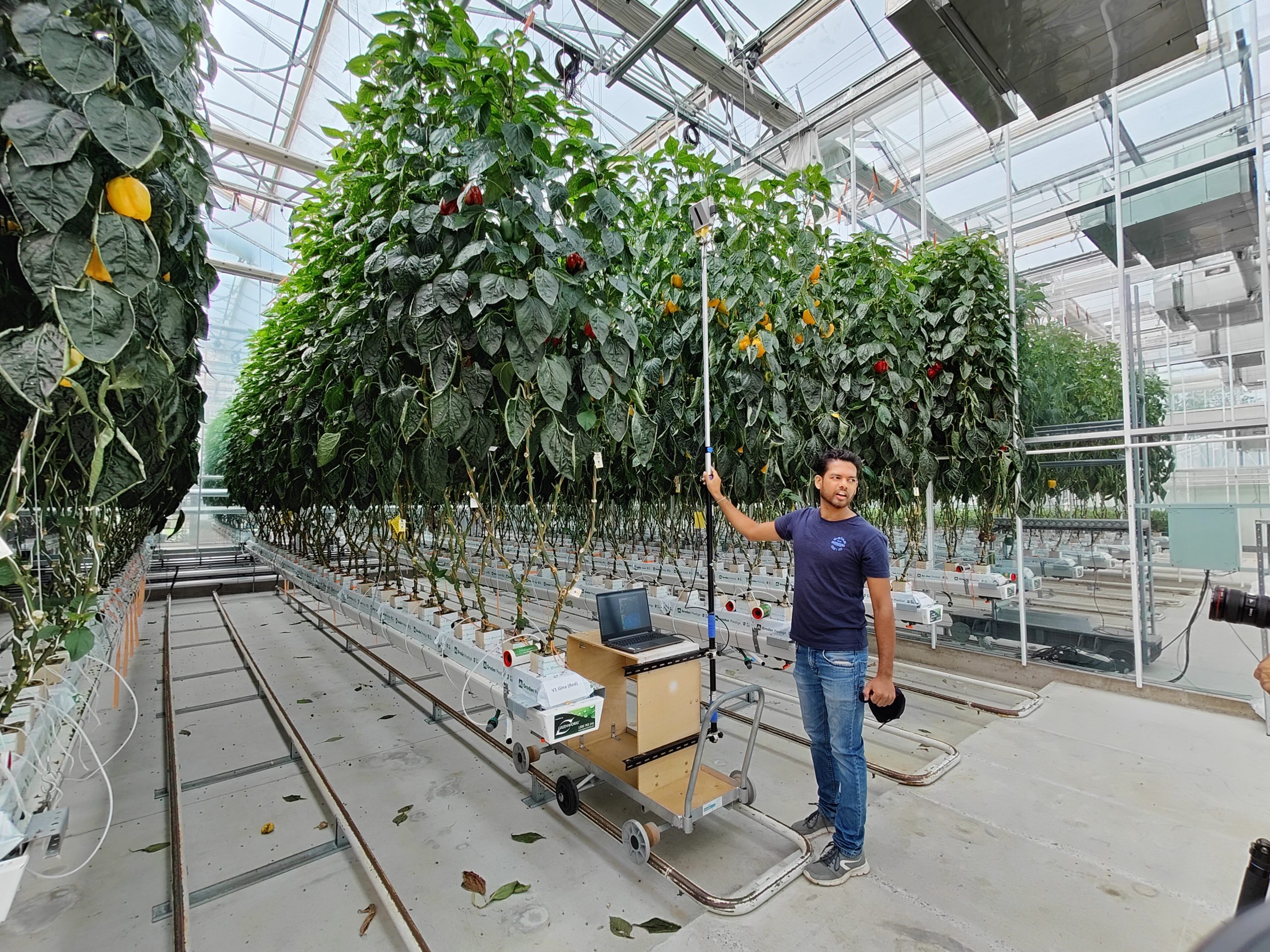 Namal Jayasuriya’s research at Western Sydney University using machine vision to estimate crop-height, a proxy for vegetative growth, has been published in Computers and Electronics in Agriculture.