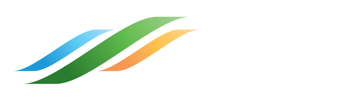 FFS logo