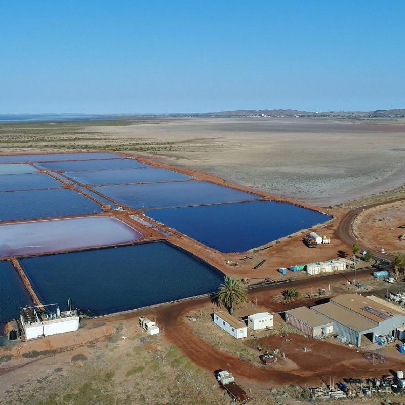 Transforming agri-waste into low-carbon materials