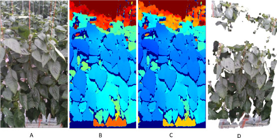 PC4C_CAPSI: Image data of capsicum plant growth in protected horticulture