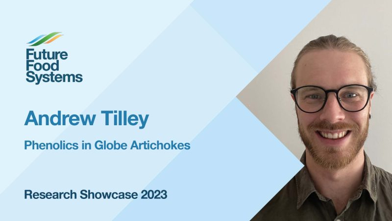 Andrew Tilley – Phenolics in Globe Artichokes (FFS Research Showcase 2023)