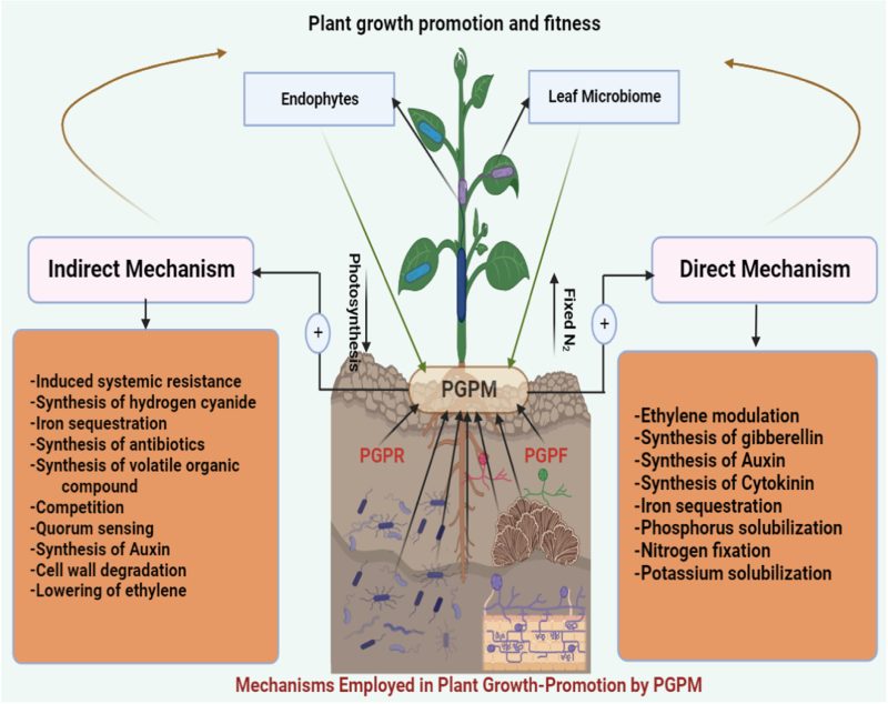 Formulation challenges associated with microbial biofertilisers in sustainable agriculture and paths forward