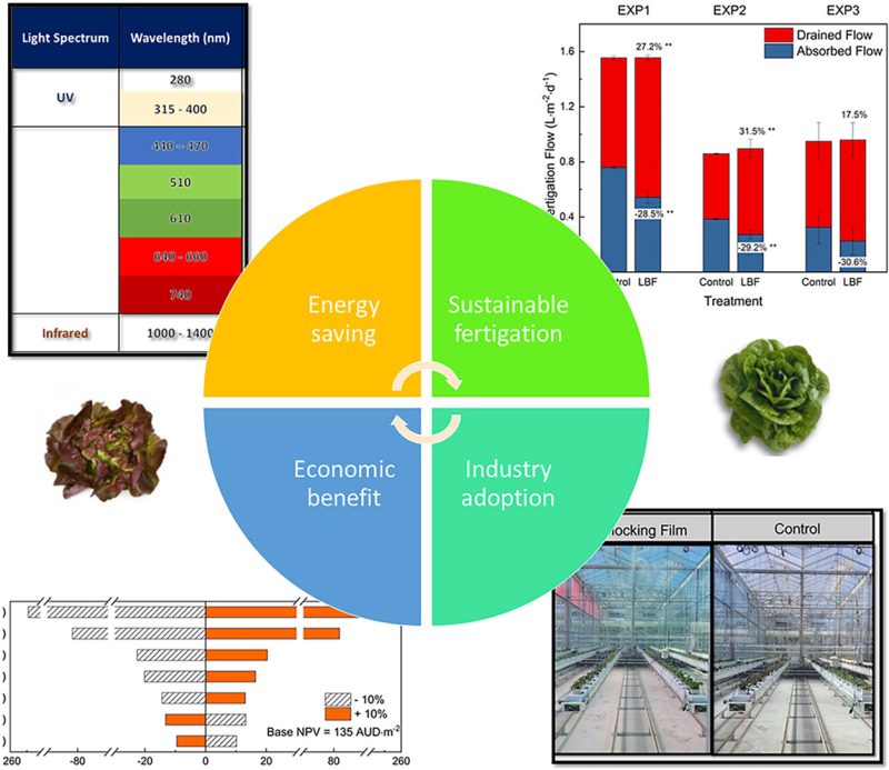Energy and fertigation consumption and economic viability of a light blocking film in greenhouse lettuce production