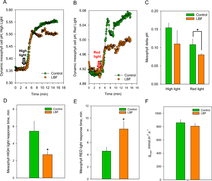A glasshouse light blocking film impacts Capsicum mesophyll ionic homeostasis and stomatal dynamics through altering light conditions