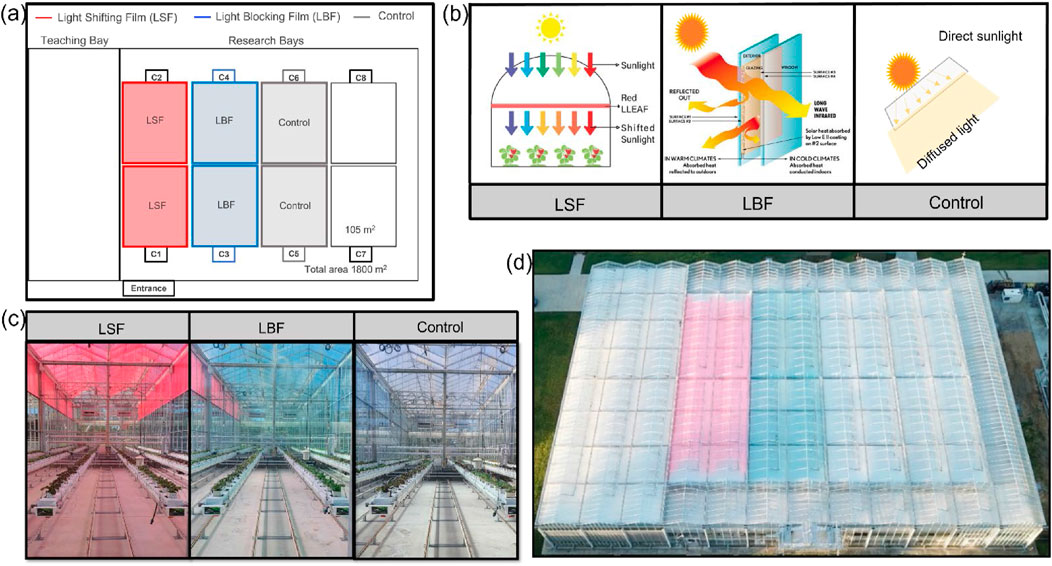 Optimal energy-efficient shade screen and ventilation control settings for a greenhouse covered with light-altering films
