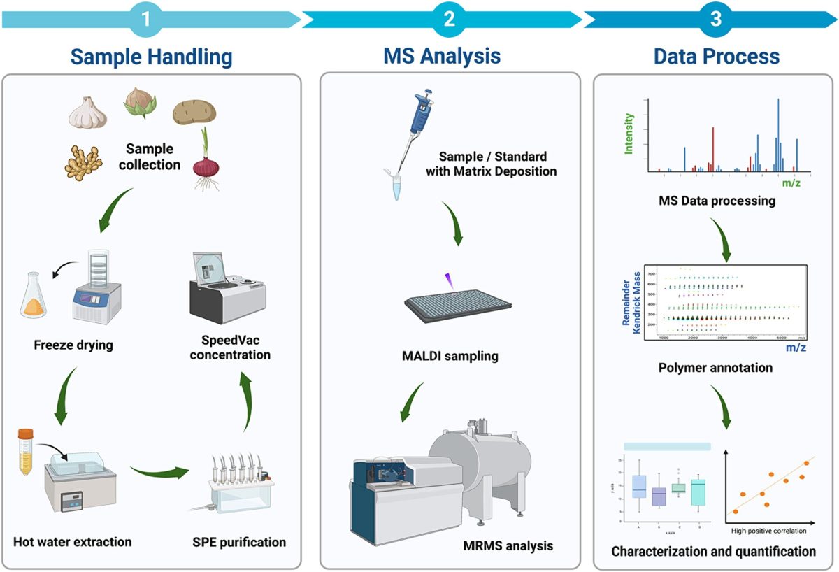 Unravelling inulin molecules in food sources using a matrix-assisted laser desorption/ionization magnetic resonance mass spectrometry (MALDI-MRMS) pipeline