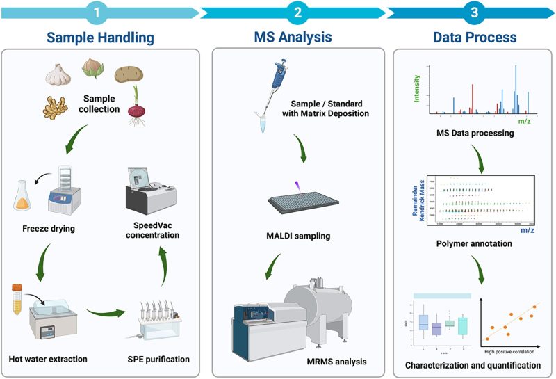 Unravelling inulin molecules in food sources using a matrix-assisted laser desorption/ionization magnetic resonance mass spectrometry (MALDI-MRMS) pipeline