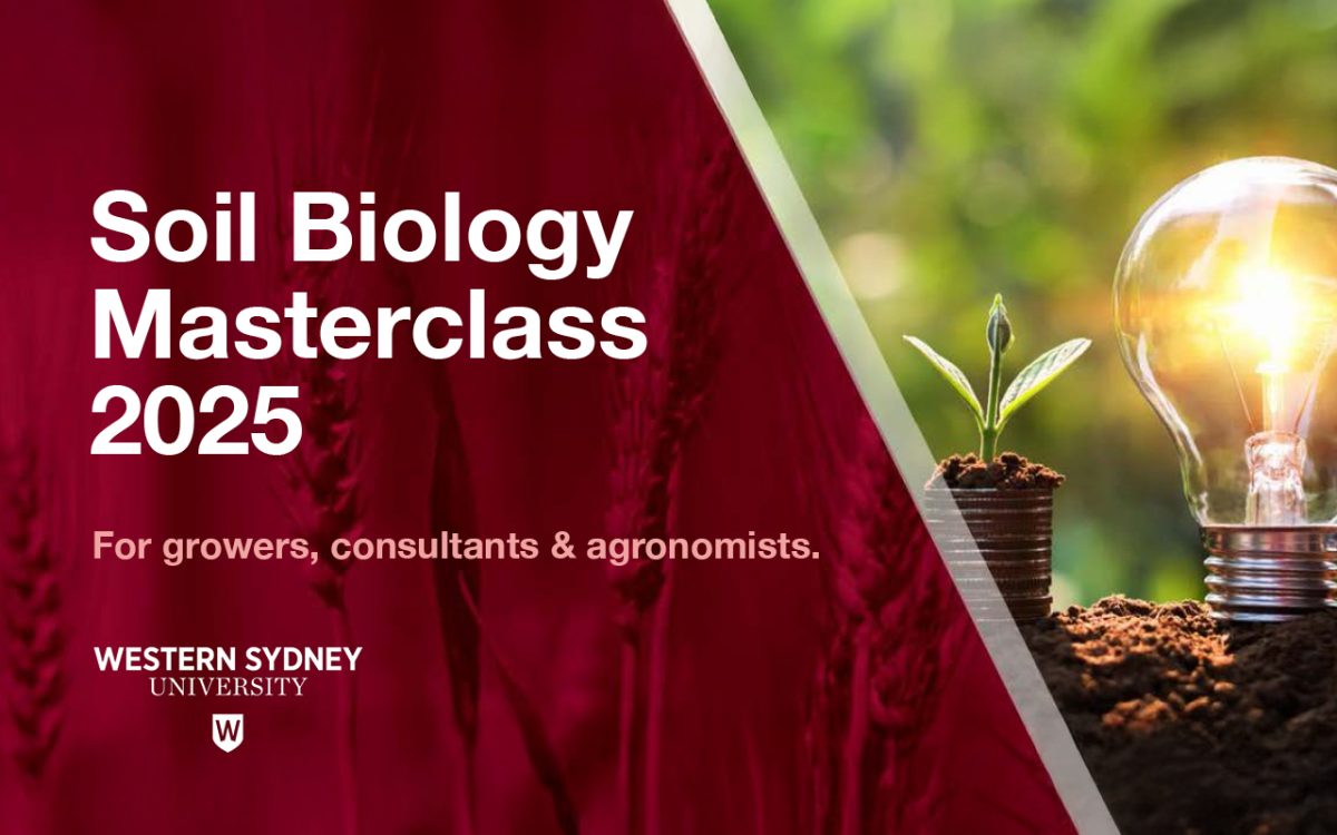 Soil Biology Masterclass 2025
