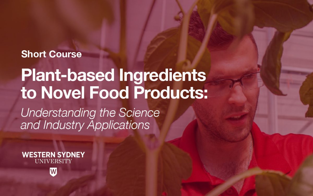 Plant-based Ingredients to Novel Food Products: Understanding the Science and Industry Applications