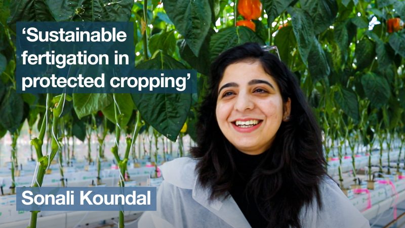 ‘Sustainable fertigation in protected cropping’ with Sonali Koundal