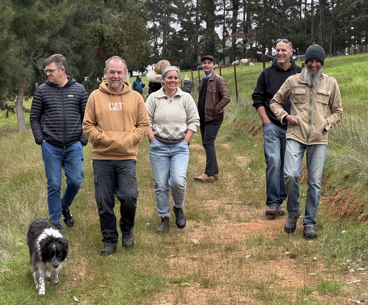 Local research homing in on the year round truffle