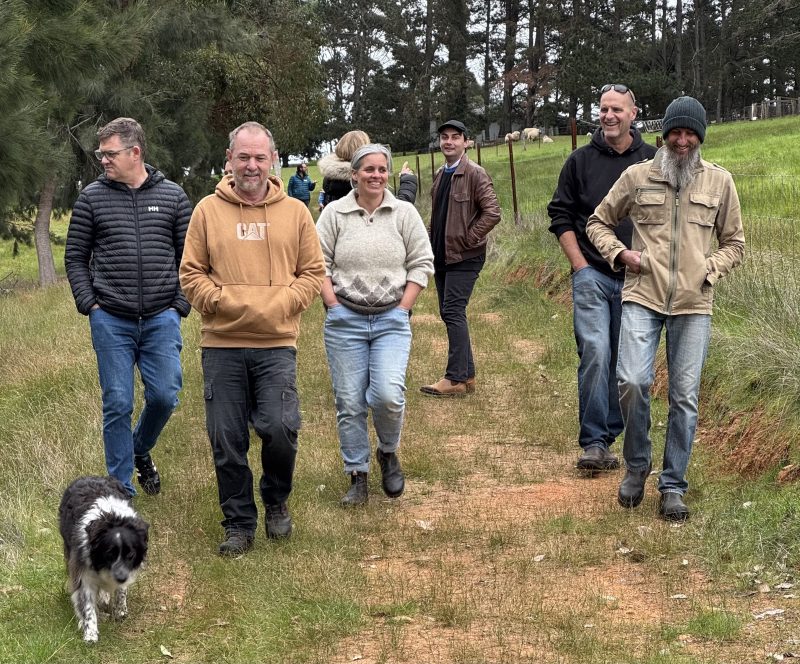 Local research homing in on the year round truffle
