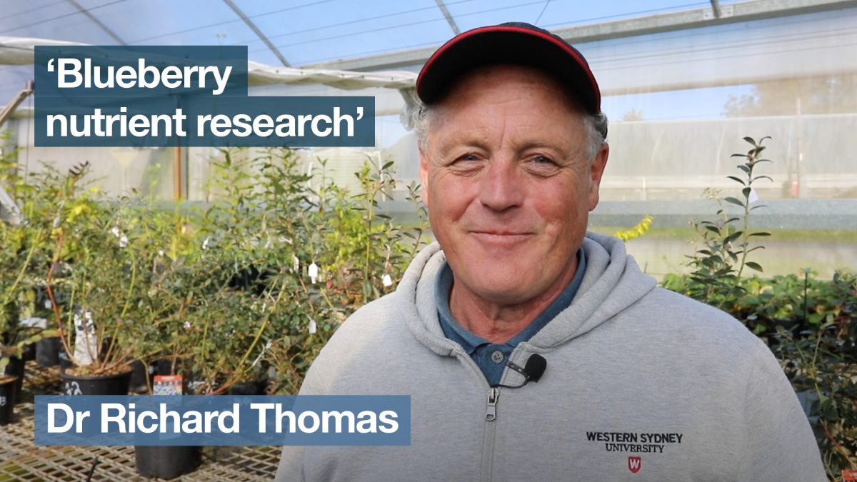 ‘Blueberry nutrient research’ with Dr Richard Thomas