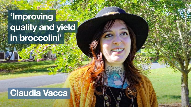 ‘Improving quality and yield in broccolini’ with Claudia Vacca