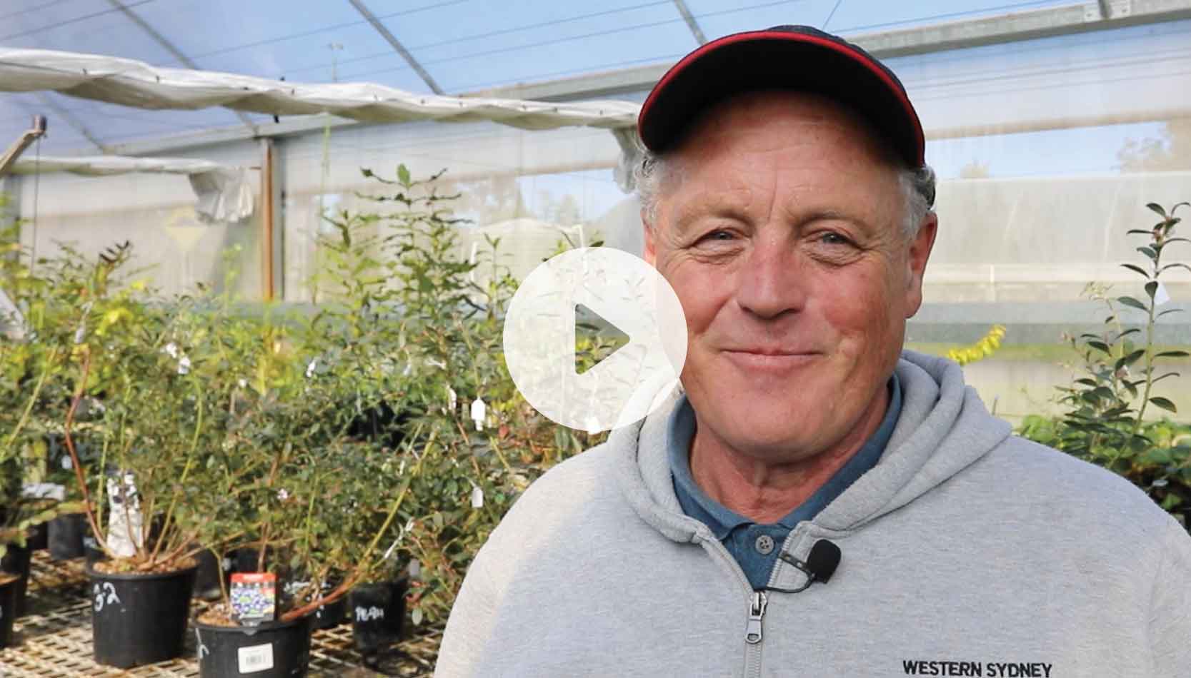 Dr Richard Thomas of Western Sydney University talking about his Blueberry nutrient research.