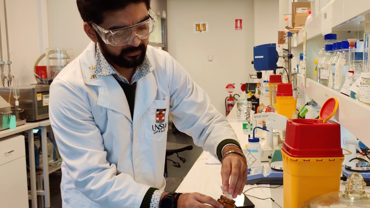 Advancing plant protein functionality through Maillard Conjugation