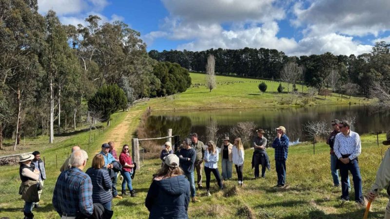 The rhythm of collaboration