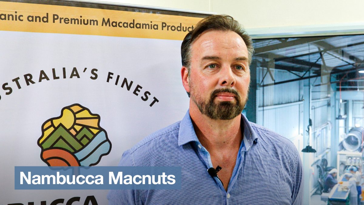 Nambucca Macnuts – Shaun Tholen